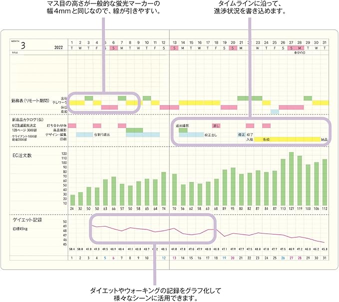 Laconic LGF05-36 Notebook A5 Gantt Chart Date Free Style Notebook