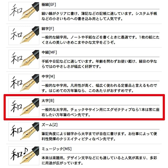 Sailor Pen fountain pen professional fit standard 21 in the shape 11-1521-420 Black (Bold Nib)