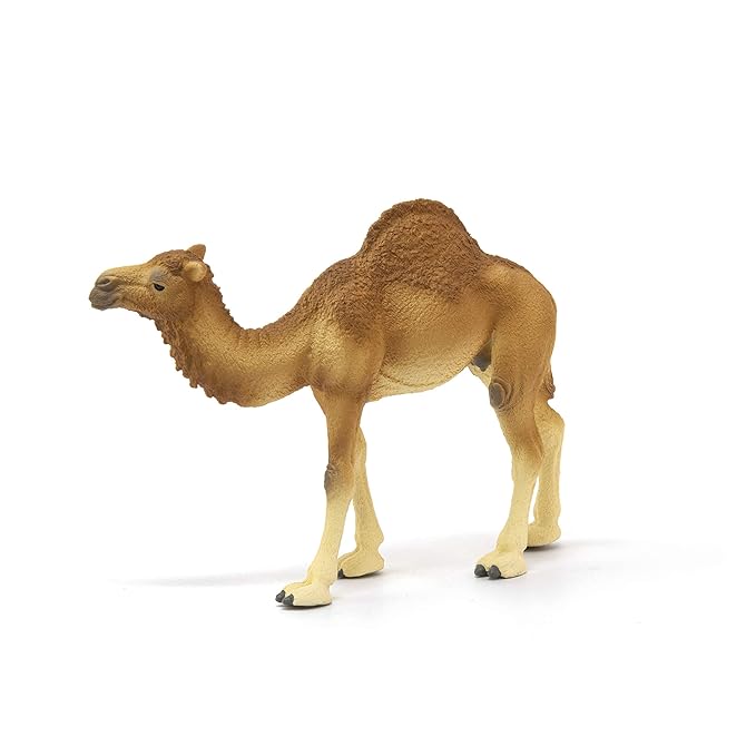 Schleich Wild Life Arabian Camel Dromedary Toy Figurine for Kids Ages 3-8 with 1 Hump