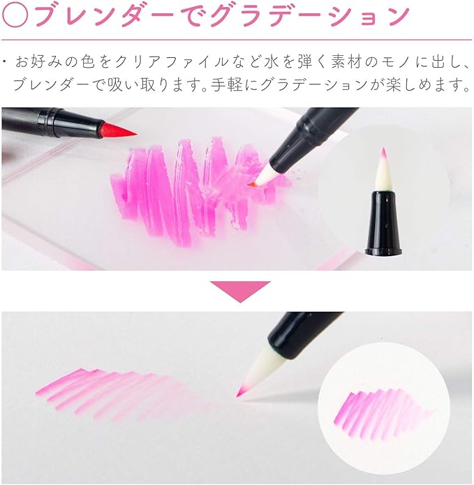 TOMBOW Pencil Brush Pen Dual Brush Pen ABT 12 Color Set Portrait AB-T12CPO