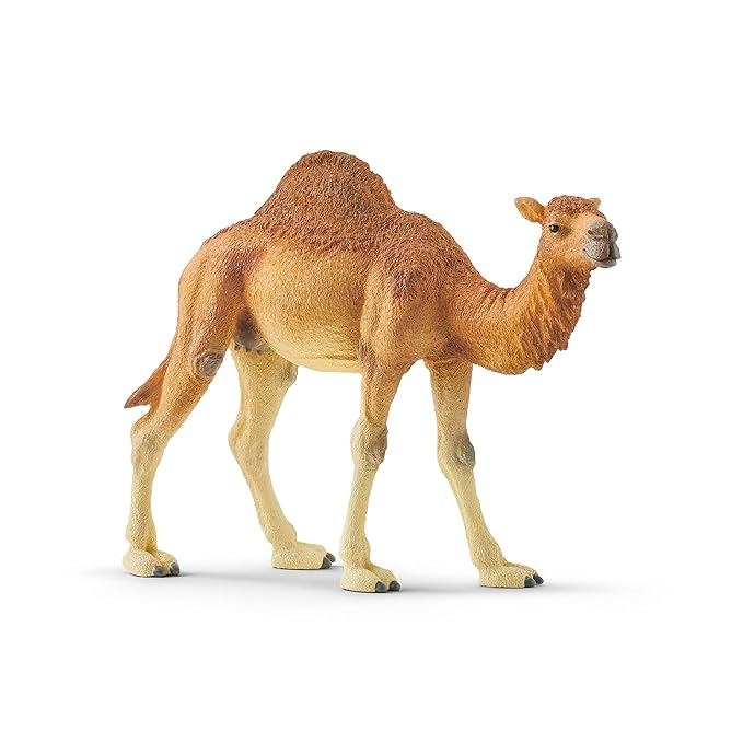 Schleich Wild Life Arabian Camel Dromedary Toy Figurine for Kids Ages 3-8 with 1 Hump