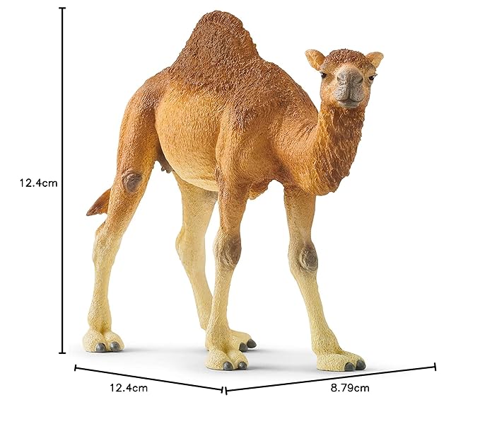 Schleich Wild Life Arabian Camel Dromedary Toy Figurine for Kids Ages 3-8 with 1 Hump