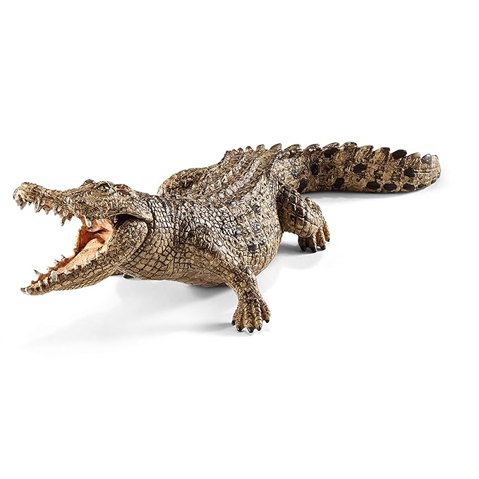 Scheich Crocodile, Multicolour