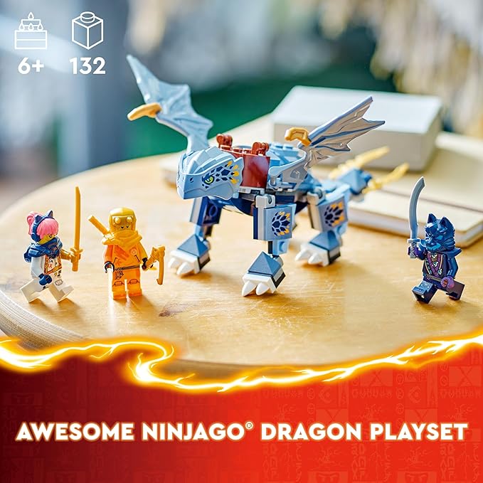 LEGO Ninjago Young Dragon Riyu Toy Set 71810