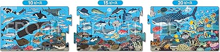 Epoch EPOCH Apollo Step Panorama Puzzle 10/15/20 Piece Puzzle for Kids 24-202 ST Mark Certified, Includes Storage Bag, 4+ Years Old Toy