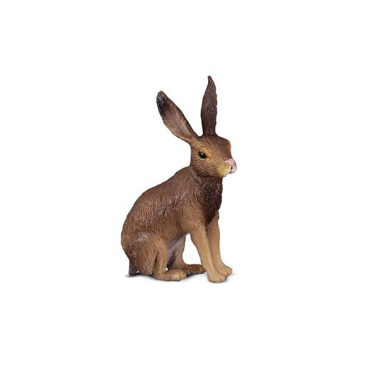 Collecta 88012 Brown Hare, Multi Color