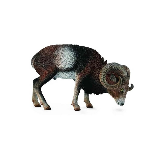 Collecta Wild Life European Mouflon Toy Figure