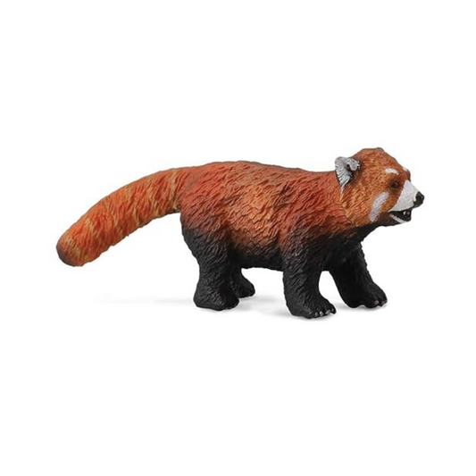 Collecta Wildlife Red Panda Toy Figure - Authentic Hand Painted Model