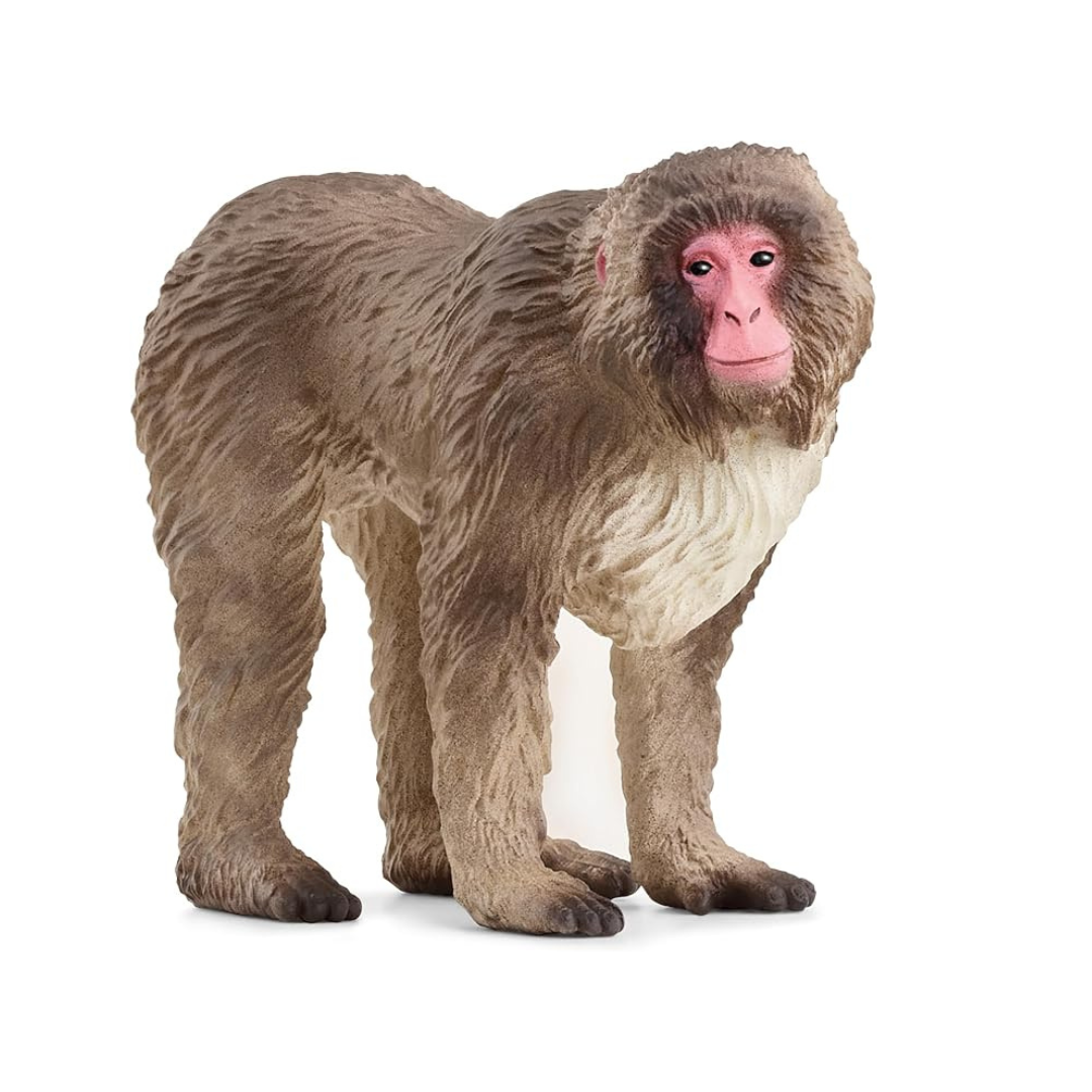Schleich Wildlife Japanese Macaque 14871