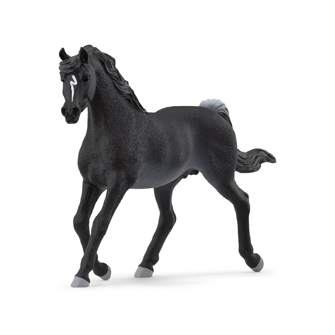 schleich horse club arabic male 13981