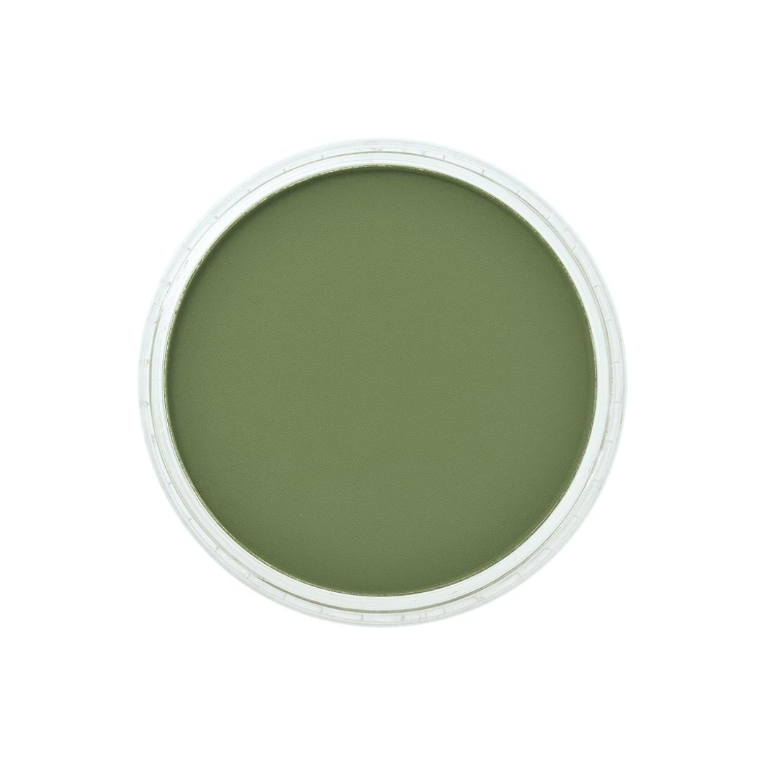 PanPastel Chrome Oxide Green Shade 26603