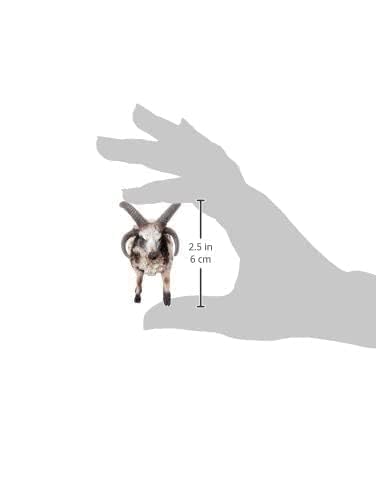 Jacob Sheep