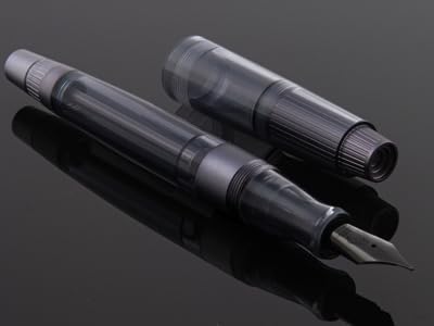 Asvine Natami Vacuum Filled Fountain Pen Titanium & Acrylic