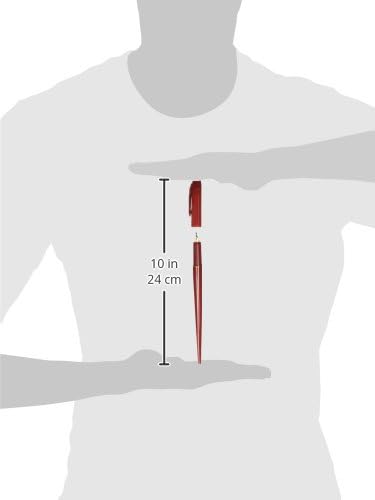 Platinum Fountain Pen, Red Body (DPQ-700A#10)
