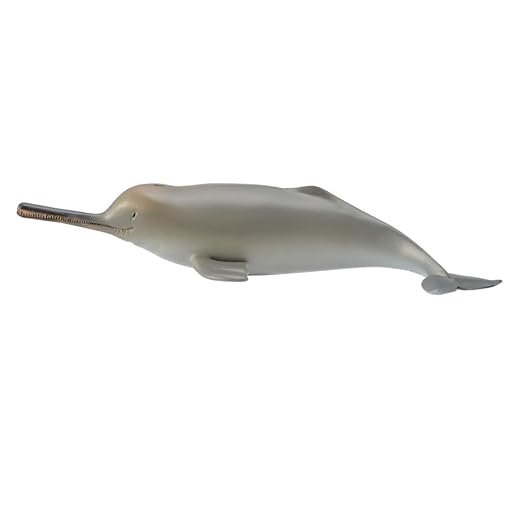 Collecta  Ganges River Dolphin
