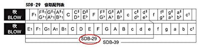 Suzuki SDB-29 Orchestral Double Bass 29-Hole Harmonica