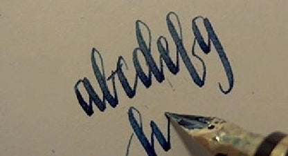 Pilot Namiki Falcon Fountain Pen Soft-Medium Namiki Falcon Fountain Pen  (Fine Nib)