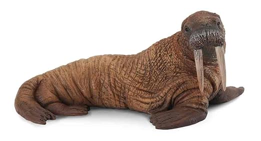 Collecta Walrus Figure