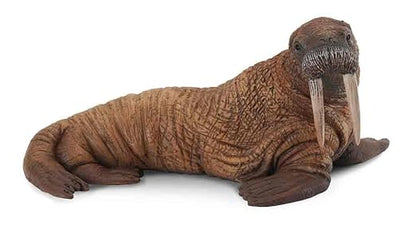 Collecta Walrus Figure