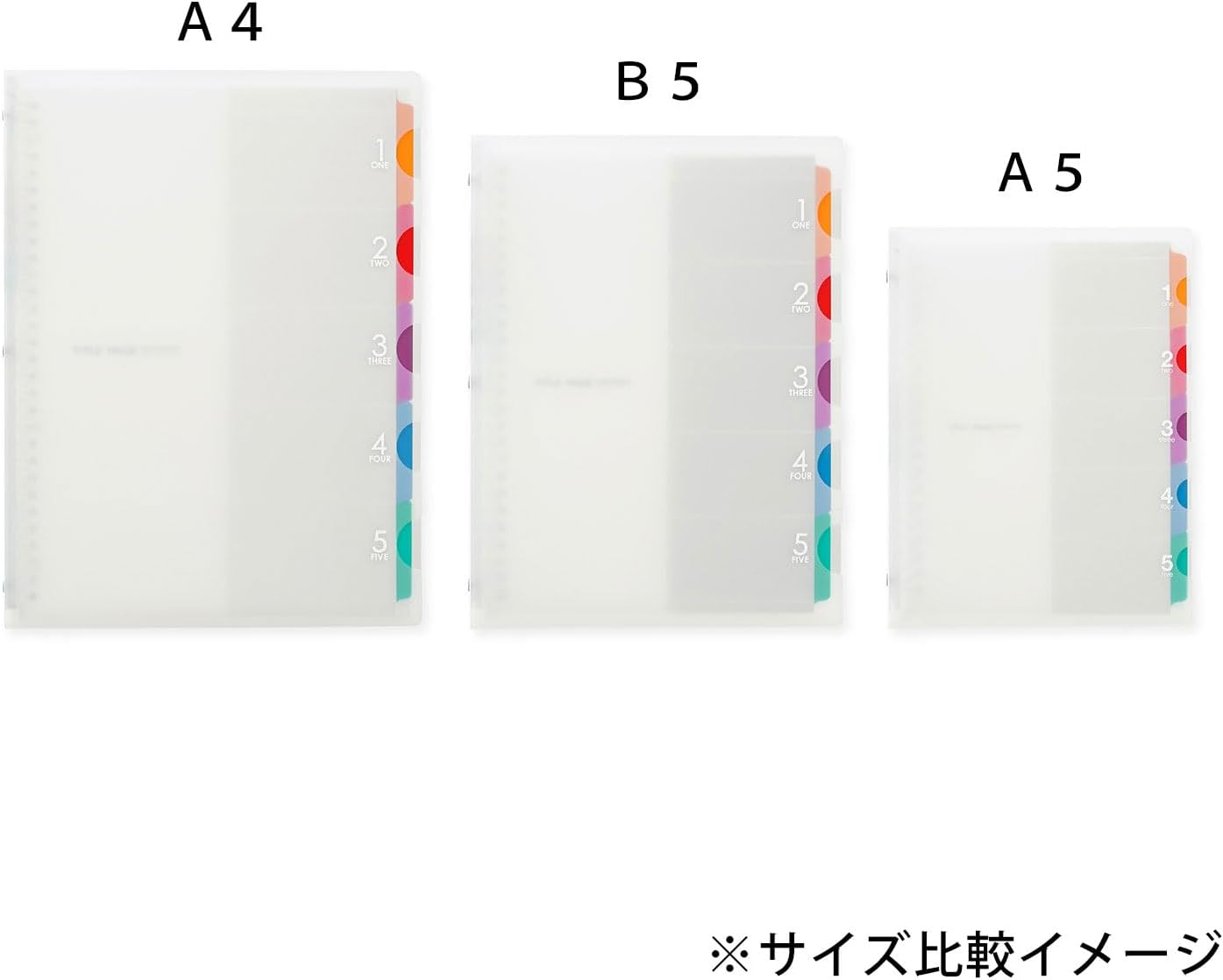 Maruman Loose Leaf Binder A4 Five Chart, 30 Holes, Clear F487