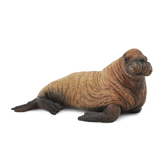 Collecta Walrus Calf