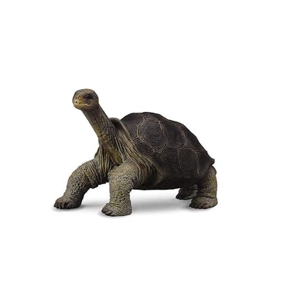 Collecta Pinta Island Tortoise Figure