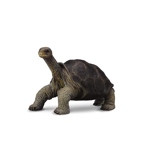 Collecta Pinta Island Tortoise Figure