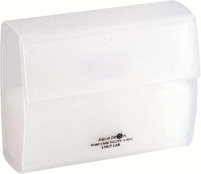 Lihit Lab Card Case Point Card Holder 40 Cards Blue A5013-8