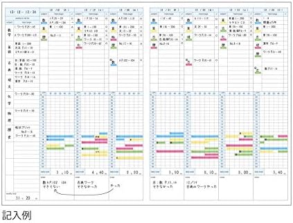 Midori 22407006 MD Notebook Diary, 2026, A4 Modified, Thin, Monthly (Begins December 2025)