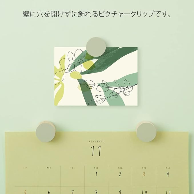Midori 35496006 DESIGNPHIL , Picture Clip, Wood, Green
