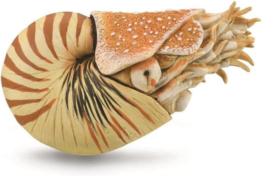 COLLECTA 88907 Nautilus Dinosaur Figure