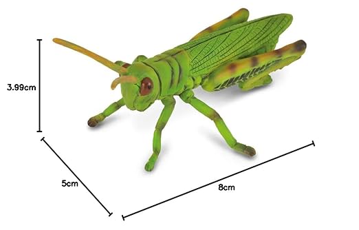 Collecta Insects Grasshopper Toy Figure - Authentic Hand Painted Model