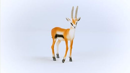 Schleich Wild Life, Wild Animal Safari Toys for Boys and Girls, Thomson Gazelle Toy Figurine, Ages 3+