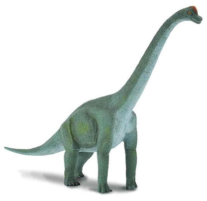 Collecta Brachiosaurus Toy