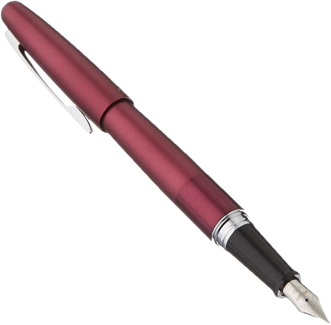 Pilot Cocoon Fountain Pen Medium Nib (Metallic Gray Body)
