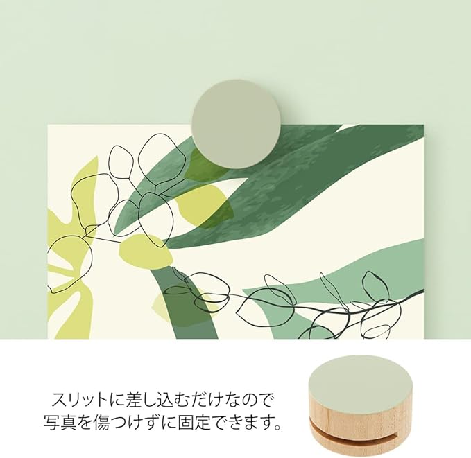 Midori 35496006 DESIGNPHIL , Picture Clip, Wood, Green
