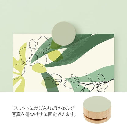 Midori 35496006 DESIGNPHIL , Picture Clip, Wood, Green