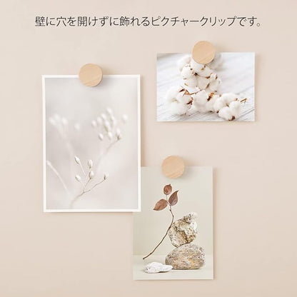 Midori  35497006 DESIGNPHIL, Picture Clip, Wood, Natural