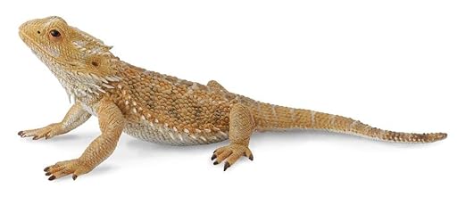 Collecta Bearded Dragon Lizard Figure
