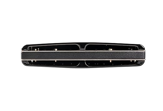 Suzuki Harmonica, F Promaster-Hammond
