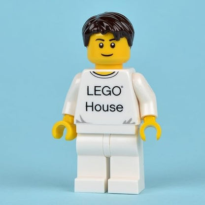Overseas Limited LEGO 4000010 Denmark Billund LEGO Lego House Architecture Lego House 250 Pieces lego