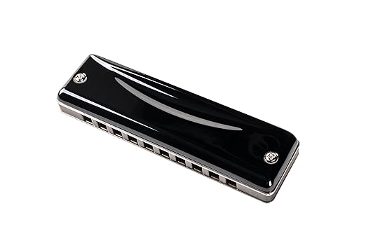 Suzuki Harmonica, F Promaster-Hammond
