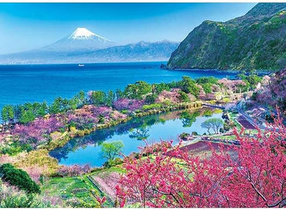 500 Piece Jigsaw Puzzle Flower Peach and Fuji Clear Harvest (Shizuoka)