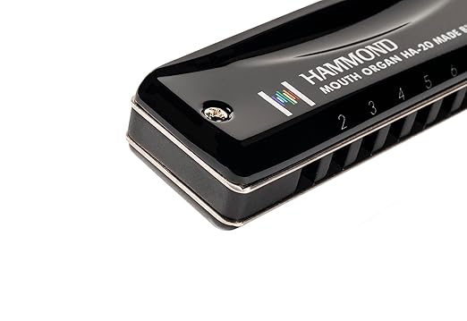 Suzuki Harmonica, F Promaster-Hammond