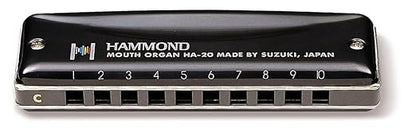 Suzuki-Promaster-Hammond-F#