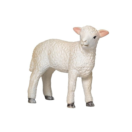 Mojo  Romney Sheep Lamb Standing