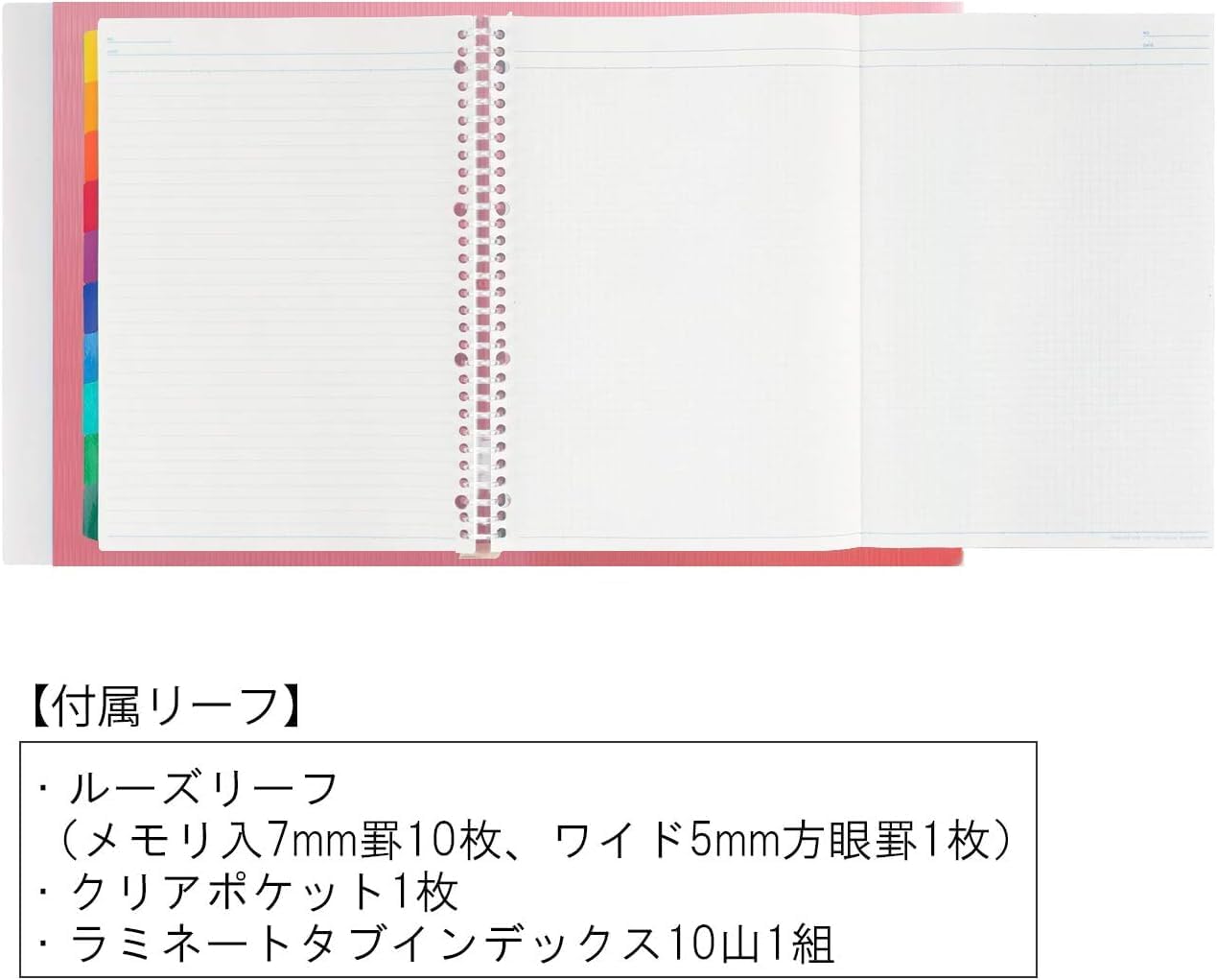 Maruman Loose Leaf Binder Session, A4, 30 Holes, Clear F584-98