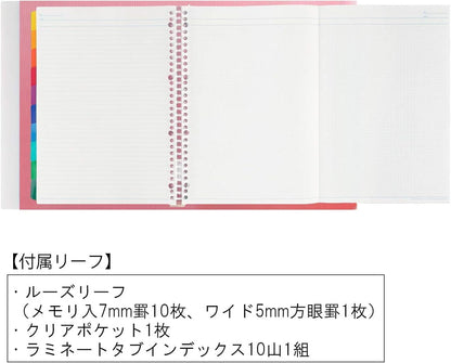 Maruman Loose Leaf Binder Session, A4, 30 Holes, Clear F584-98