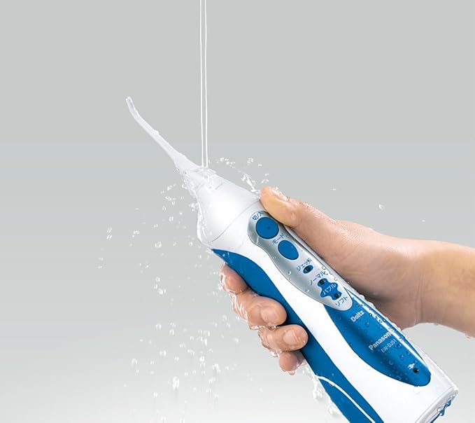 Panasonic EW-DJ51 Doltz Jetwasher, Blue