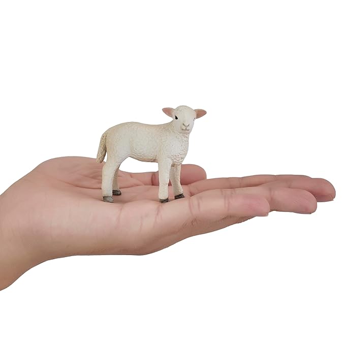 Mojo  Romney Sheep Lamb Standing